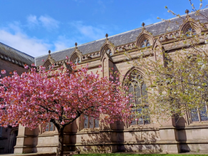 Maggie's Dundee Are Hosting A Spring Market This Weekend