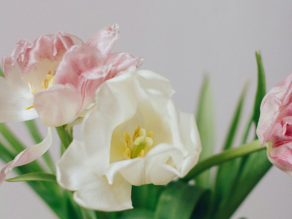 Dundee is getting its first 24/7 fresh flower vending machine from this week