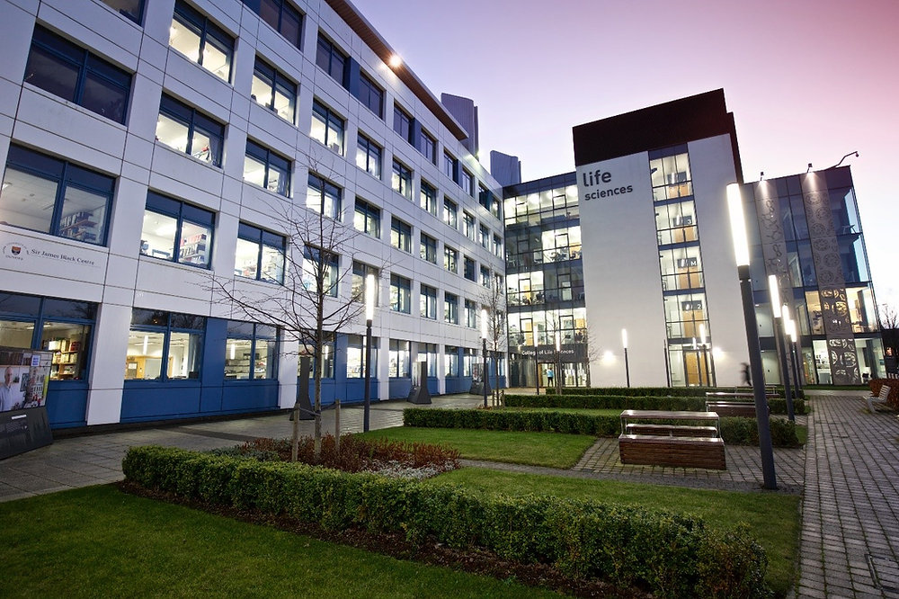 Photo: Dundee Culture Macquarie University Researchers Developed New Parkinson's Treatment