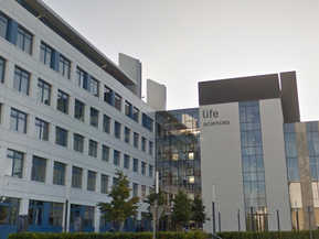 ANDREW BATCHELOR: Dundee's universities are doing us proud with all these new accolades