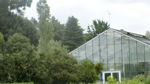 Dundee Botanic Garden set to close amid university financial crisis