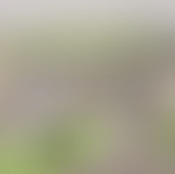 New roadside services proposed on A90 between Dundee and Perth could bring 200 jobs