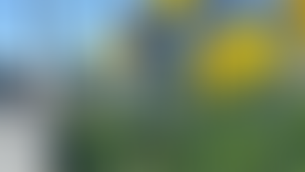 Dundee has been named the best city in the UK to visit in spring