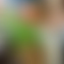 A brand new world foods store has just opened up in Dundee’s Hawkhill neighbourhood