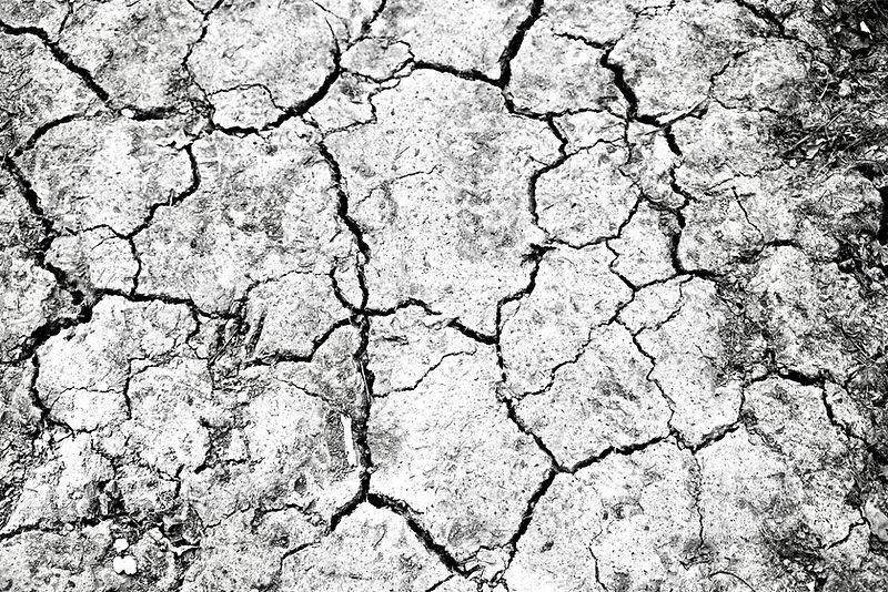 AC5BC426-1025-4EDE-8DBE-CE308335ECEF_1_201_a.jpeg