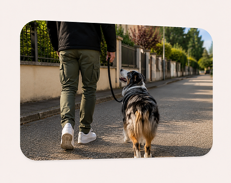 En séance d'éducation canine à St Victoret