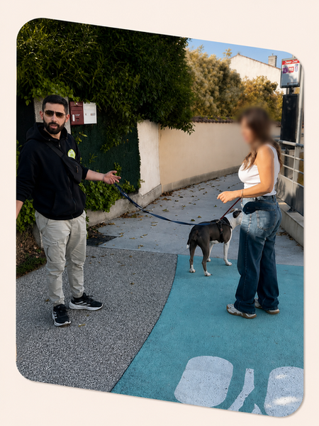 Séance educateur canin sur Gignac