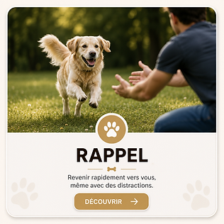 Apprendre le rappel.png