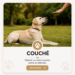 Apprendre le couché.png