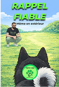 Un rappel fiable guide Educateur canin sur Marignane