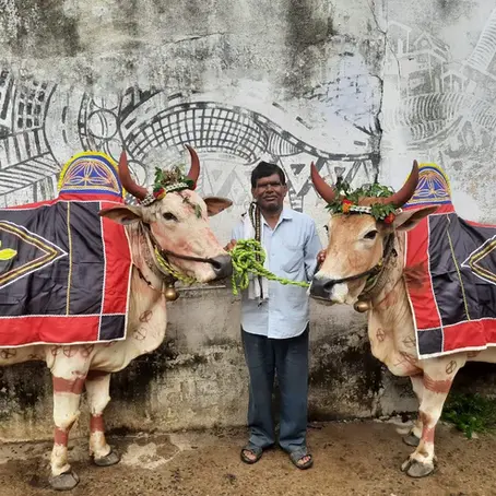 Motha Pola Celebration Village Experience