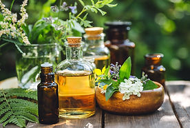 Phytotherapie, Pflanzenheilkunde