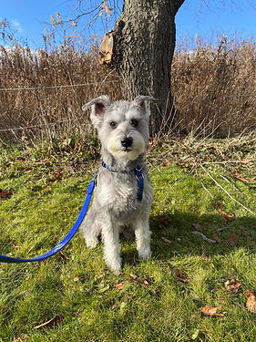 frodo website photo.jpg