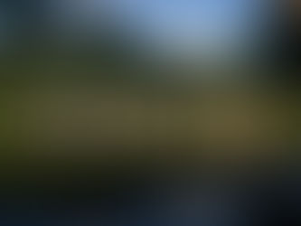 Optimizing Employee Growth with Effective Performance Management