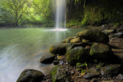 AdobeStock_107101437