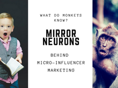 An Ape’s Reasoning for Micro-Influencer Marketing: Why It Works