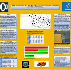 OBSERVATIONS ON THE GENETIC HEALTH OF BOBCAT (LYNX
RUFUS) POPULATIONS IN OKLAHOMA 
