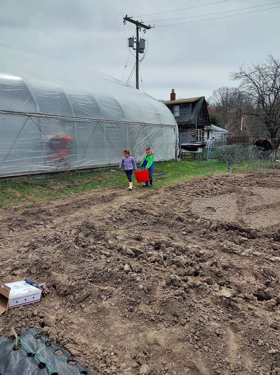 Our little helpers