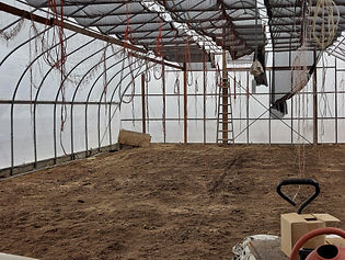 Hoop House - April .jpg