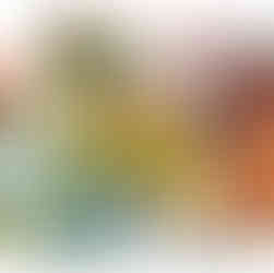 New Year Flower Market 