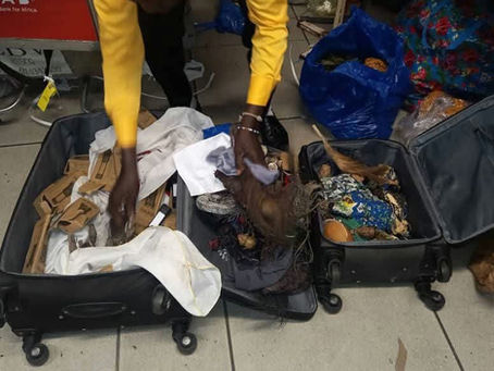 Gabon: un béninois arrêté avec des valises de fétiches (images)