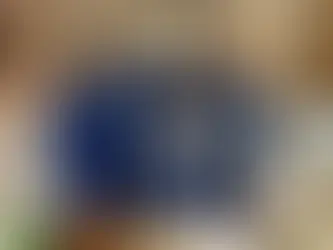 GABON : PRES DE 400 MILLIARDS DE DETTE EXTERIEURE APUREE EN 100 JOURS