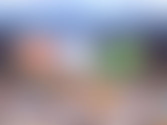 CÔTE D'IVOIRE / COUPE D'AFRIQUE DES NATIONS : BELLE CÉRÉMONIE INAUGURALE ; LE POINT DU MATCH D'OUVERTURE