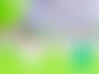 Édition 2 : les Taureaux fêtent la fraternité agissante