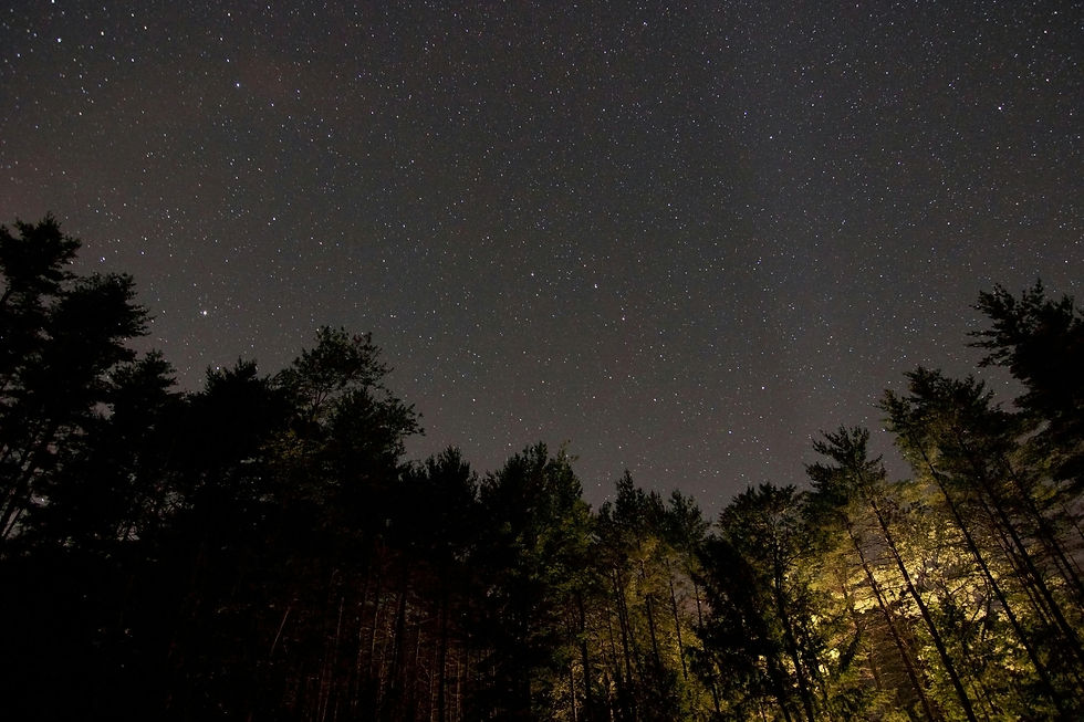 pexels-free-nature-stock-7199.jpg