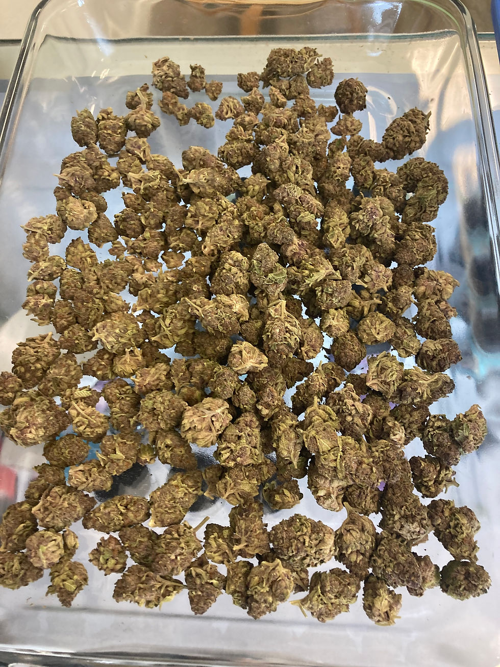 THCa FlowerOunces Green Leaf Plus