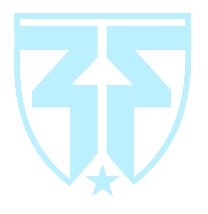 blue fury tournament logo blue.