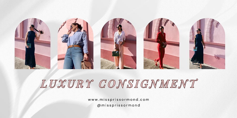 Miss Priss Website Banner (2).png