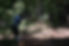 6676DCD3-133A-419F-96A6-119B374638F0.jpeg
