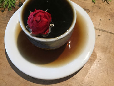 // Pelo Amor: Salvar-se.