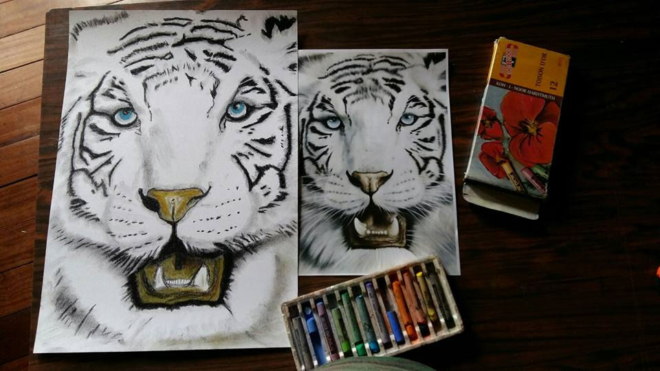 TIGRE BLANCO EN A3