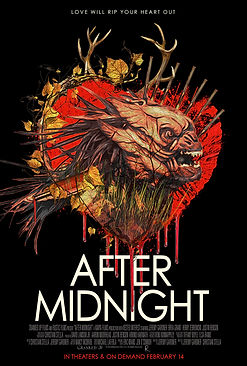 film poster for after midnight