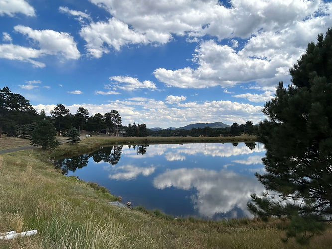 pond and trees in the Front Range Foothills where Dr. Amy offers in-home pet euthanasia.jp