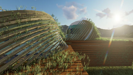 symbiotic: camping dome