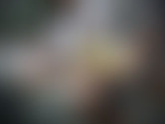 что развивает большой теннис