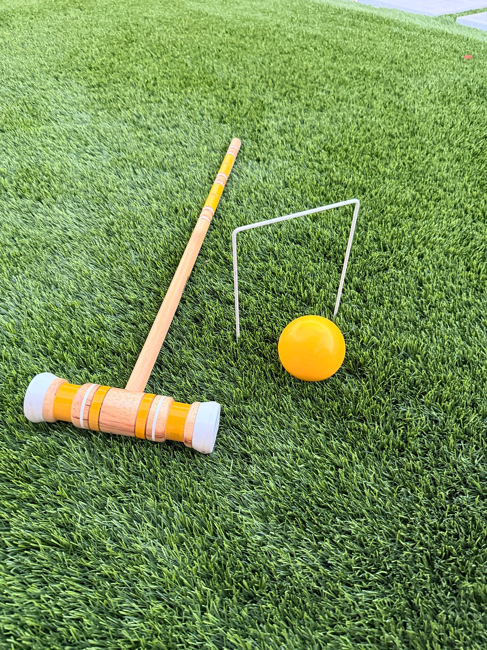 Thumbnail: Croquet Lawn Game