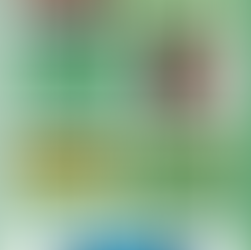 GRINDERS SWITCH HOUR