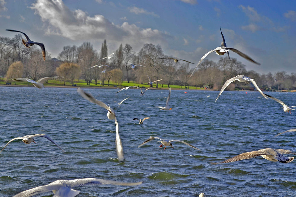 Londres - 2013