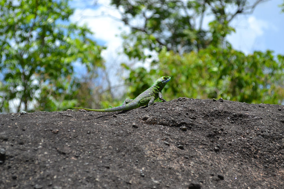Alto do Paraíso - Goiás - 2013