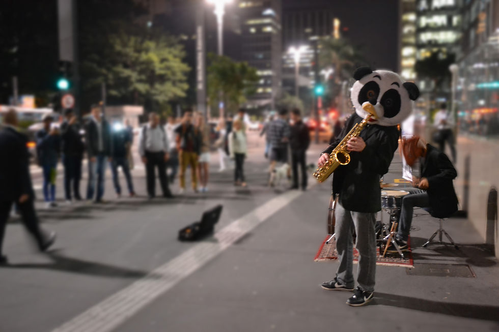 São Paulo - 2014