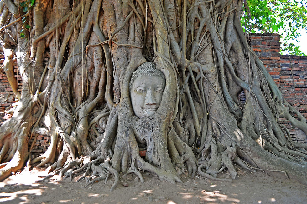 Ayutthaya - Tailândia - 2015