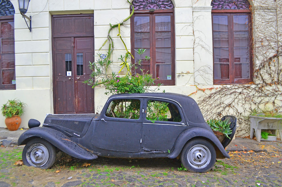 Miragem - 2014