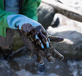 Oil Covered Rubber Gloves