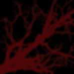 WITCH HUNT THEATRE (1)_edited.jpg