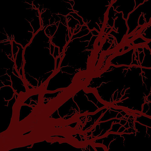 WITCH HUNT THEATRE (1)_edited.jpg