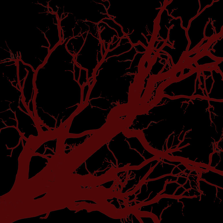WITCH HUNT THEATRE (1)_edited.jpg